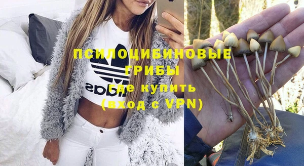 трава Иннополис