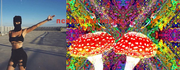 стаф Зеленодольск