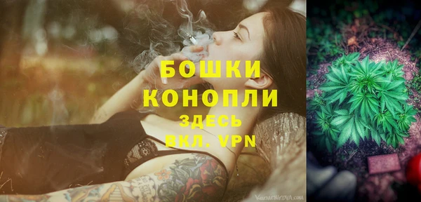 трава Иннополис